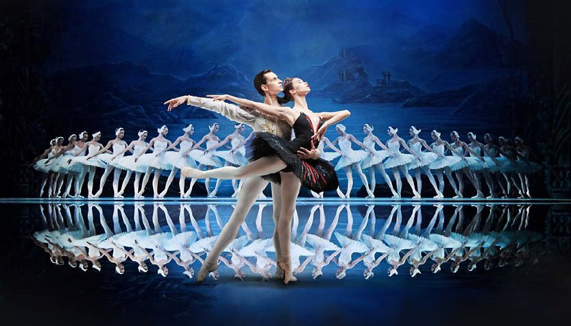 Swan Lake Dancers In Front Of A Line Of Cygnets