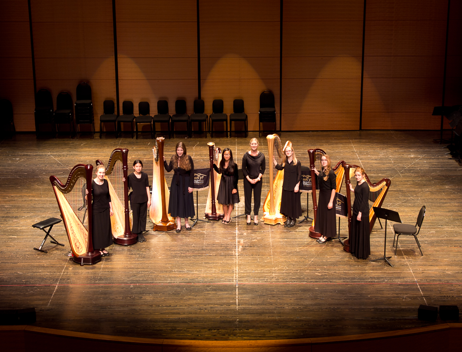 Harp Ensemble Group